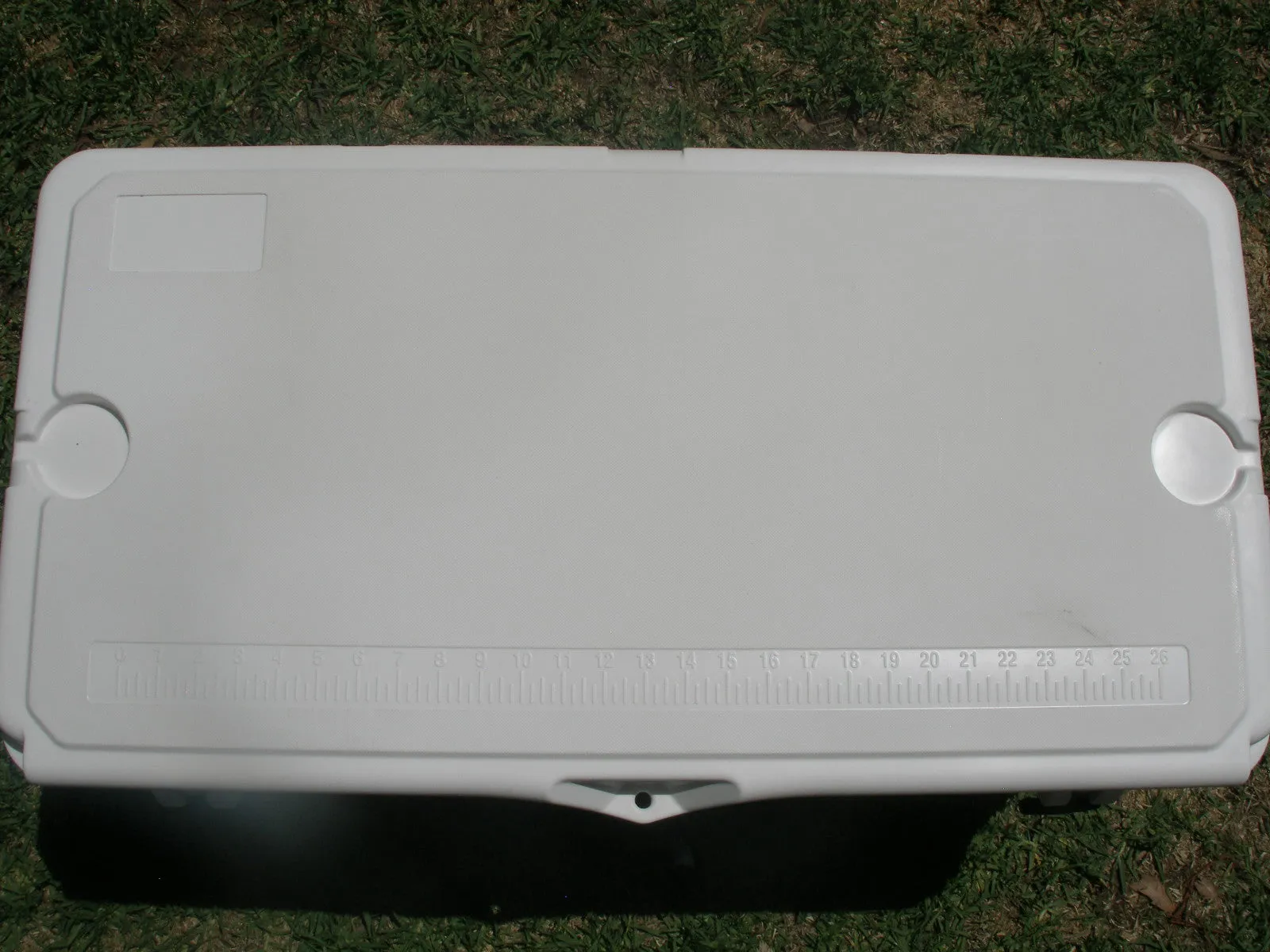 71.9 Litre (75 Quart) Cooler Box Esky