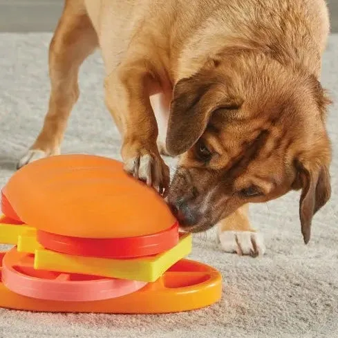 Brightkins Surprise! Treat Puzzle Dog Toy