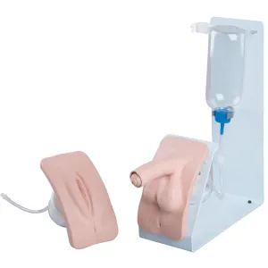 Catheterization Simulator Set, Basic, Light Skin