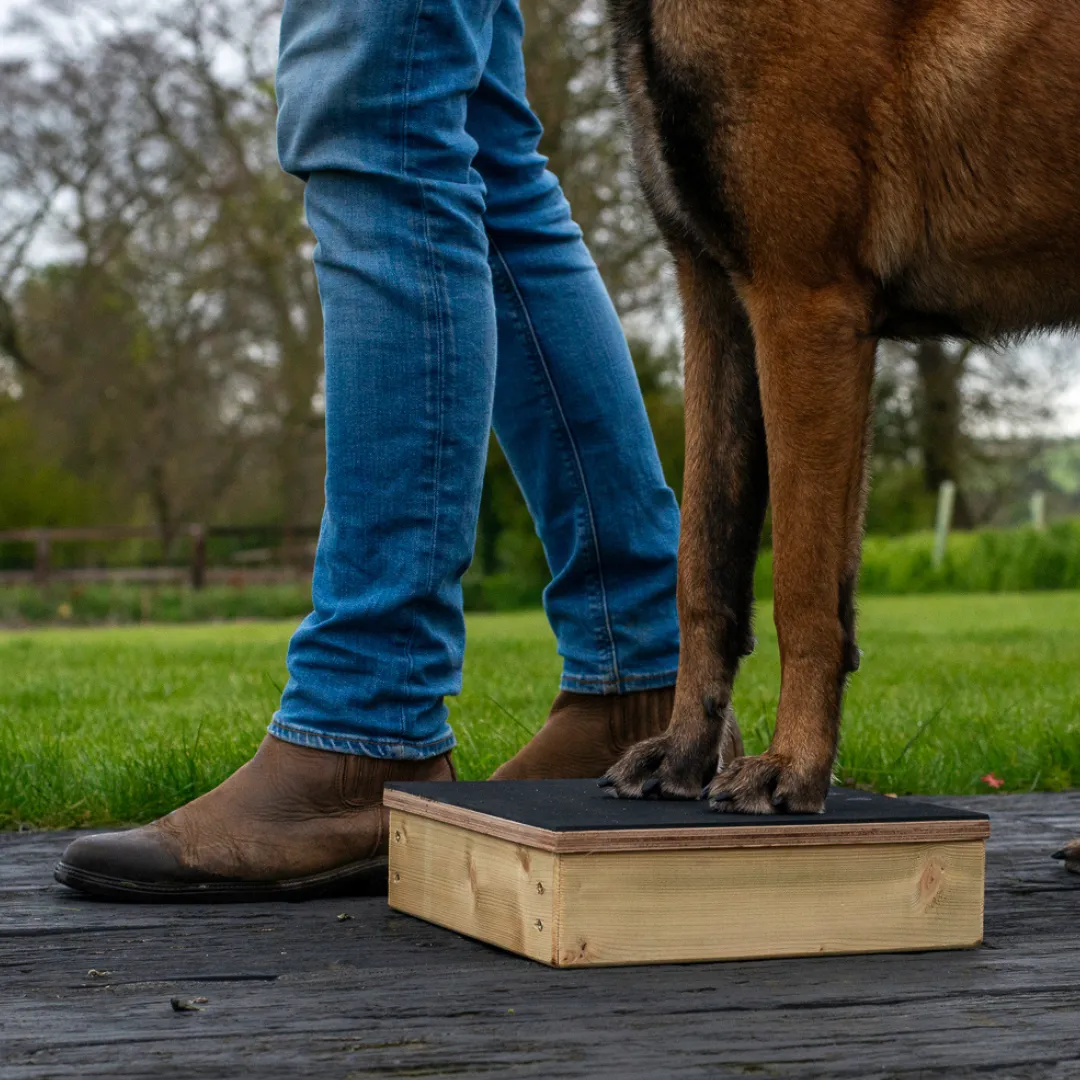 Dog Training Pivot Box – Perfect for Obedience, Heelwork & Dog Sports