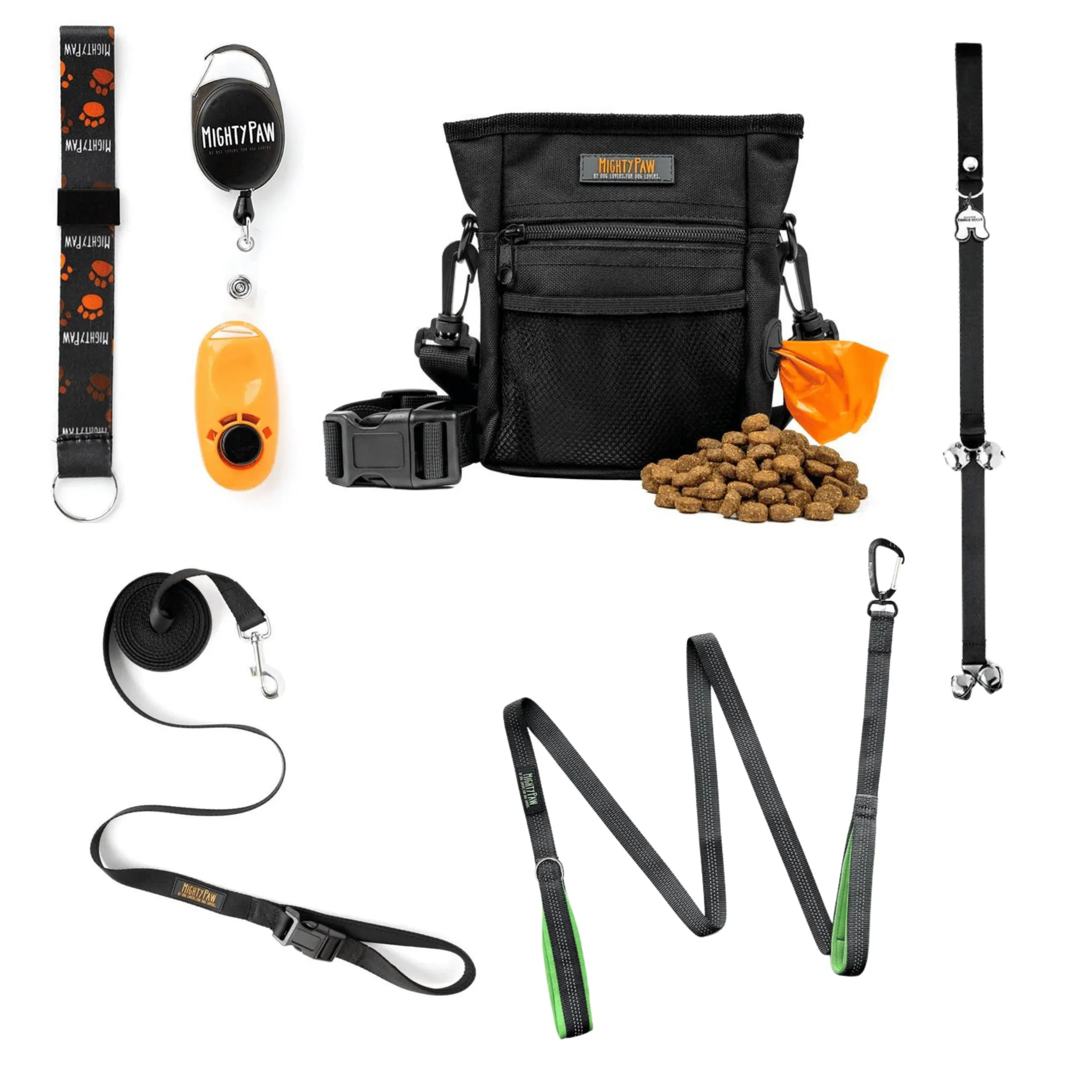 Essential Dog Training Tools with Leash and Clicker