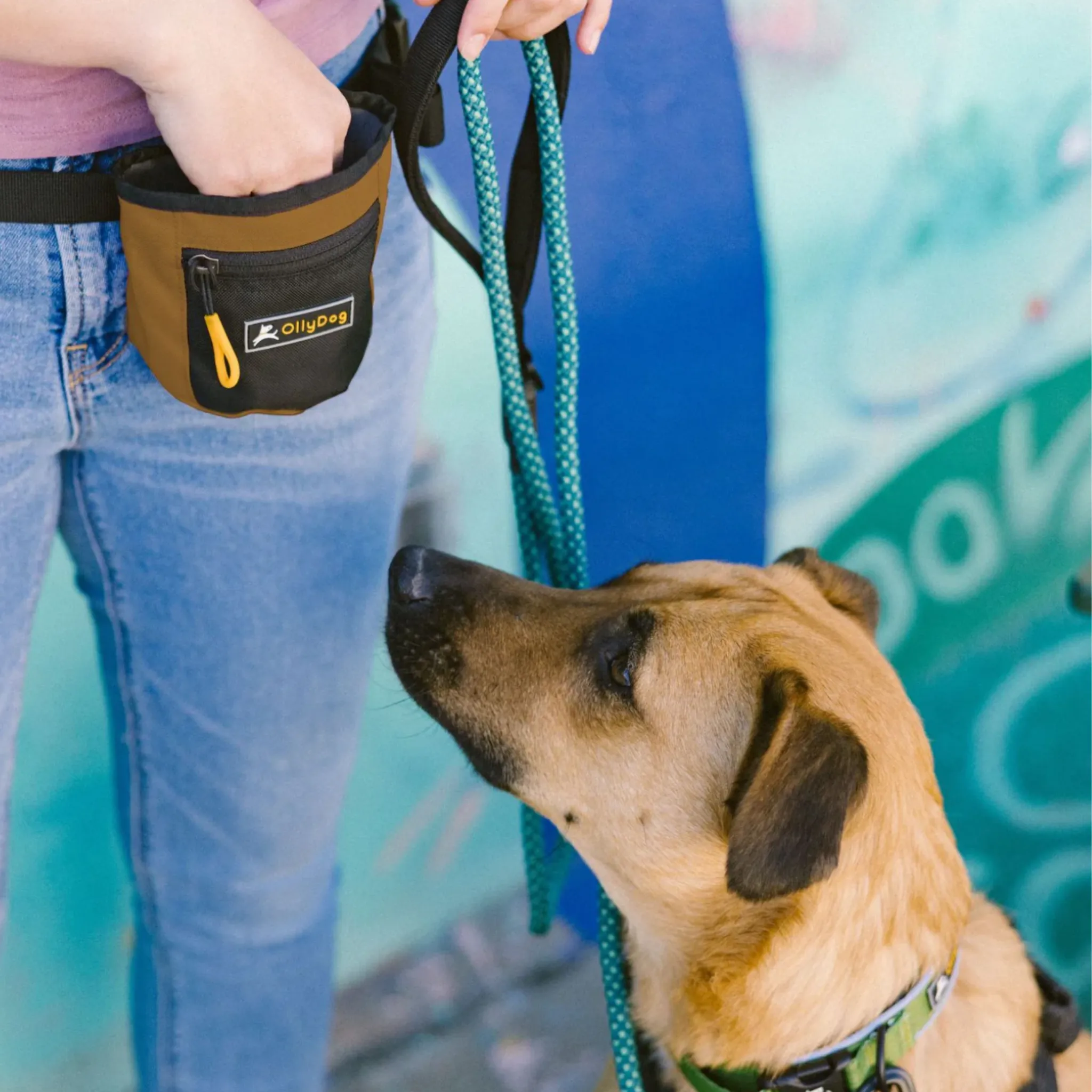 Goodie Treat Bag | Dog Treat Pouch