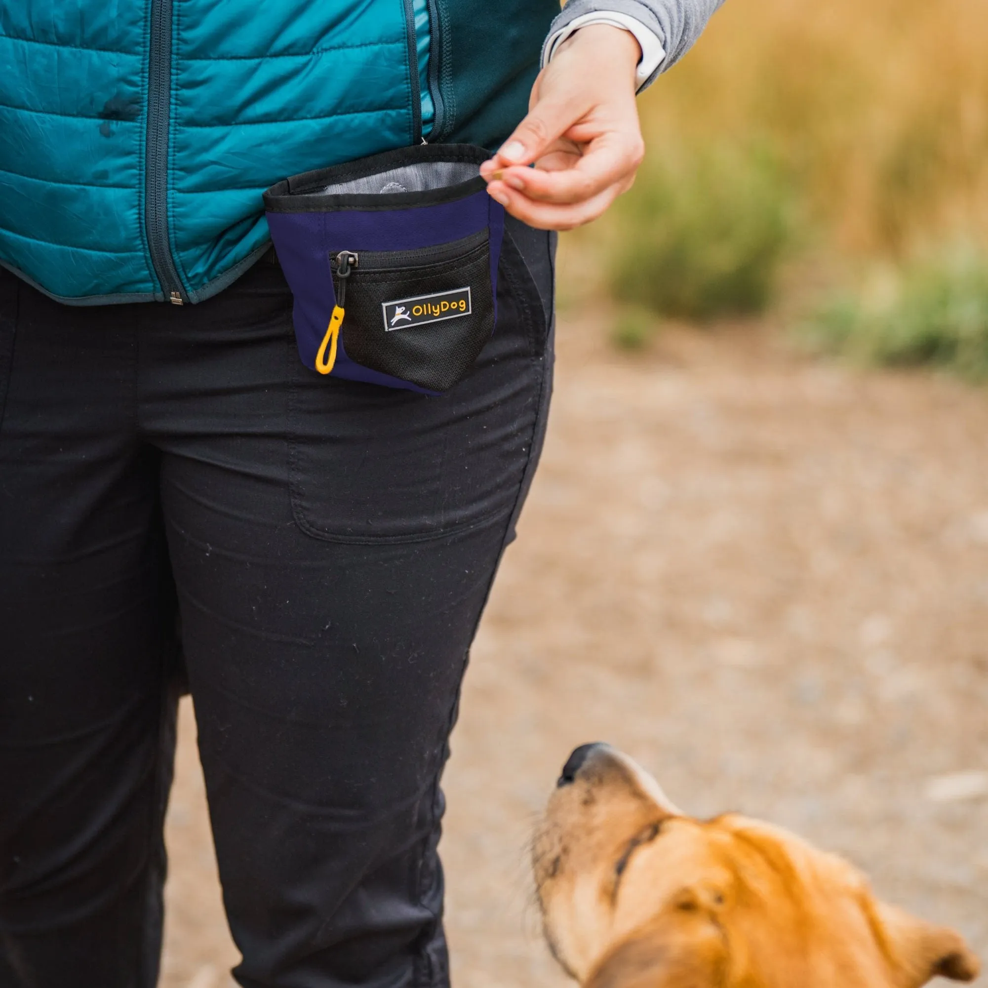 Goodie Treat Bag | Dog Treat Pouch