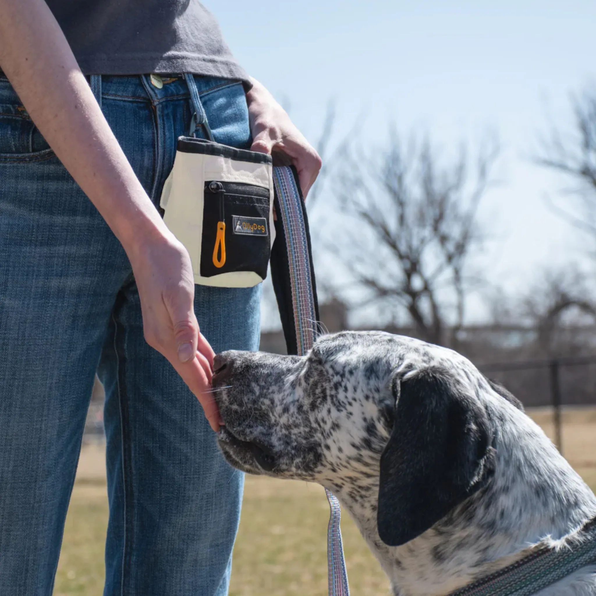 Goodie Treat Bag | Dog Treat Pouch