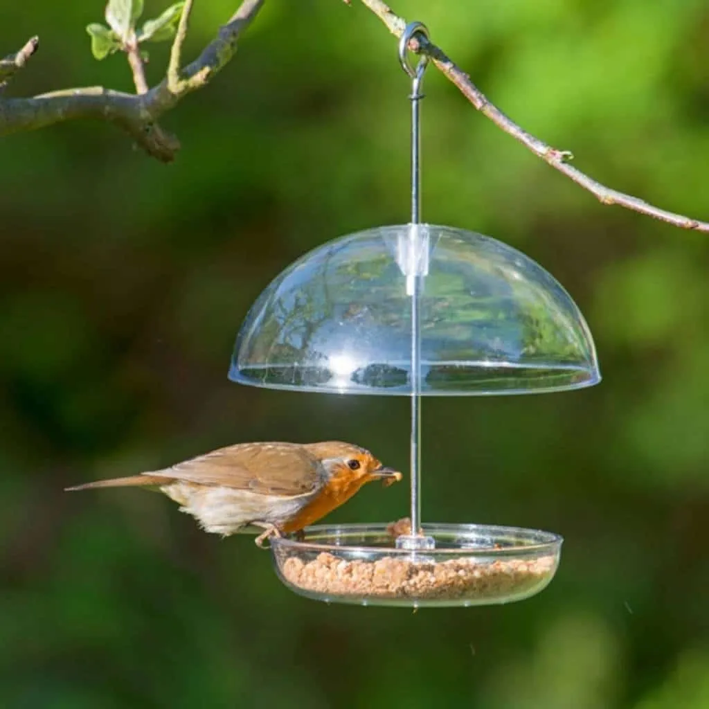 Home & Roost Robin and Song Bird Seed Mix | For A Harmonious Sanctuary In Your Garden