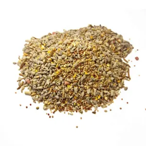 Home & Roost Robin and Song Bird Seed Mix | For A Harmonious Sanctuary In Your Garden