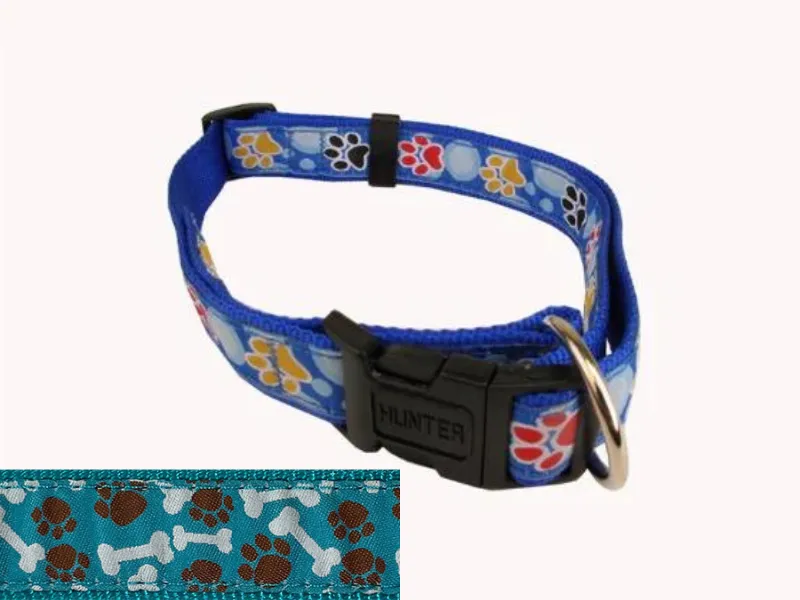 Hunter Brand - Adjustable Martingale Dog Collar (Aqua Bones Blue)