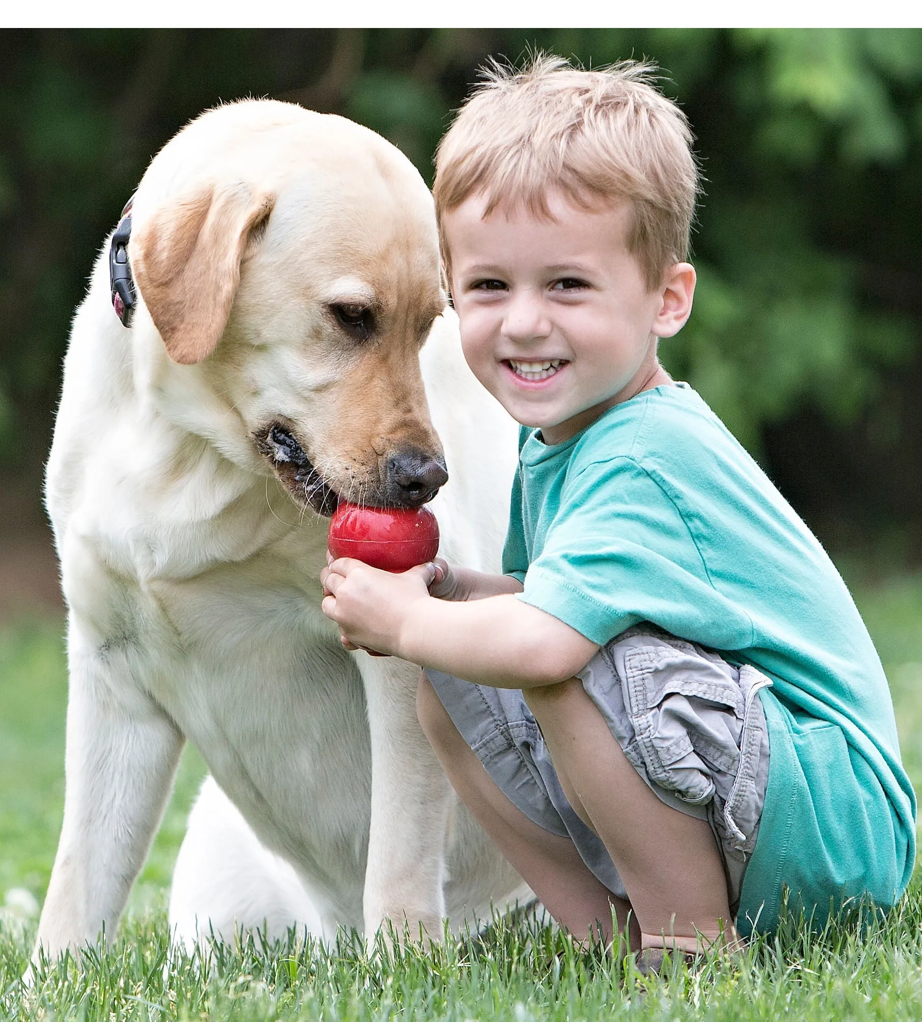 KONG Classic Dog Toy