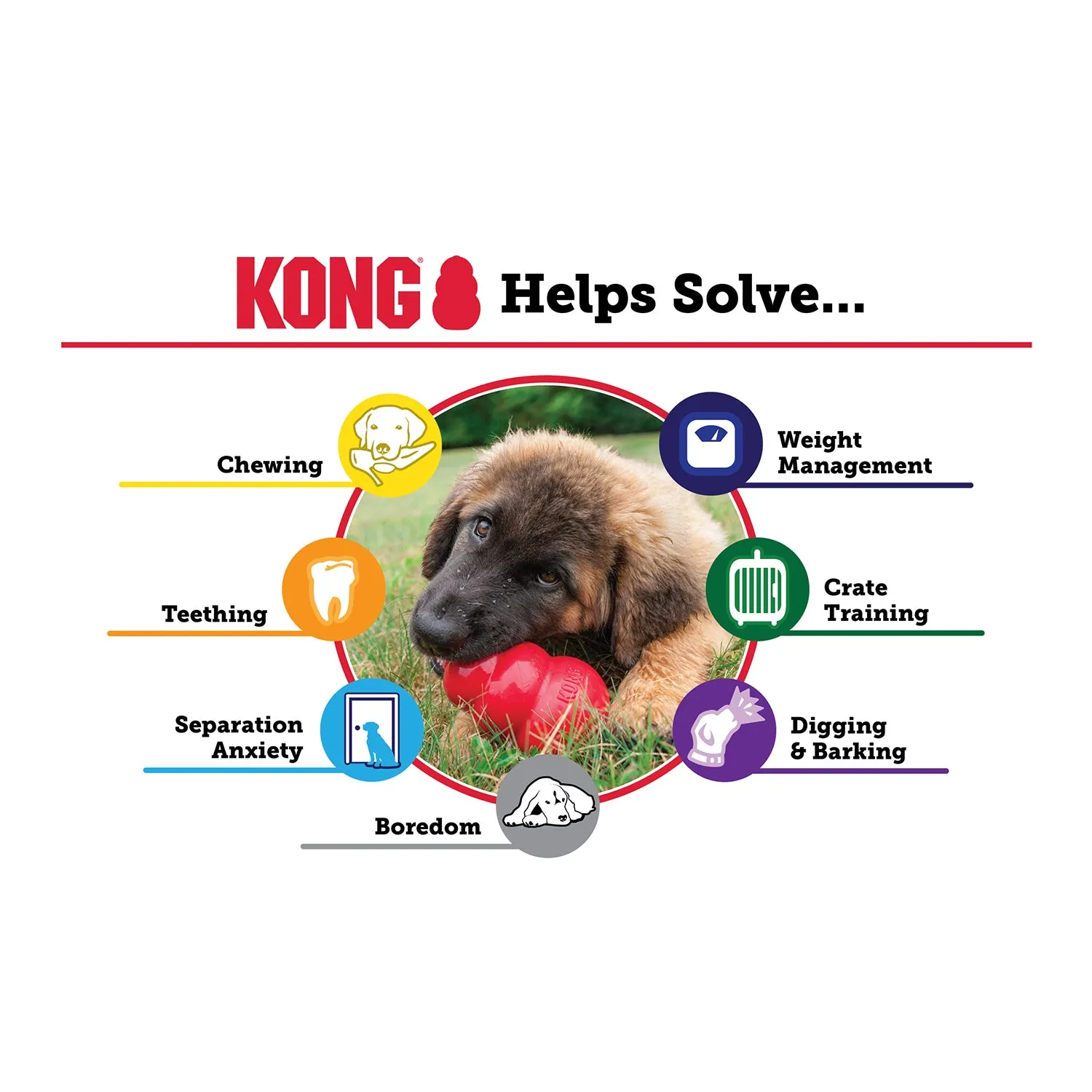 KONG Extreme Dog Toy