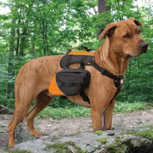 Kurgo Big Baxter Dog Pack | Large Size