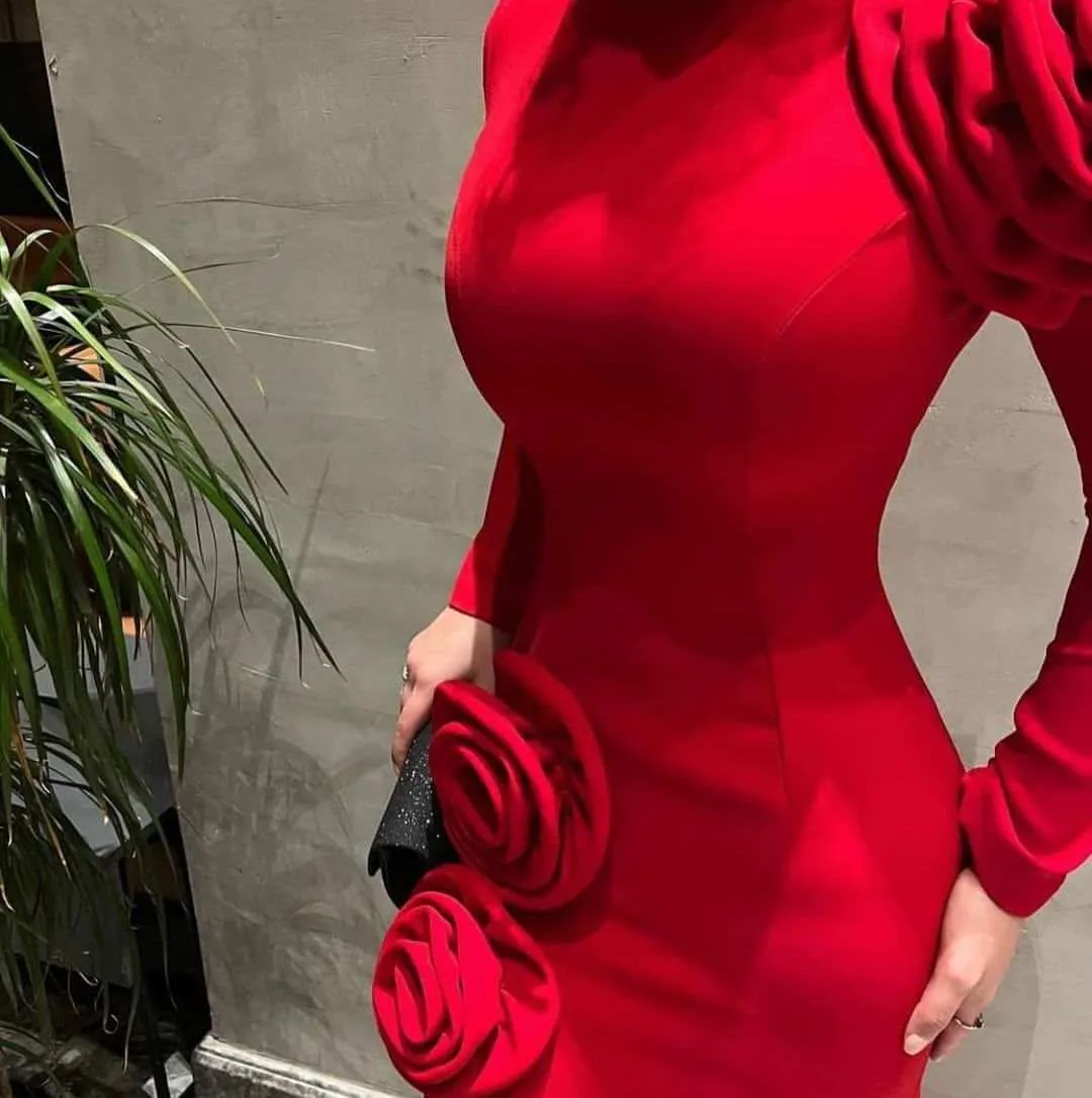 Luxury Red Mermaid Prom Dress Split Special Occasion Dresses Long