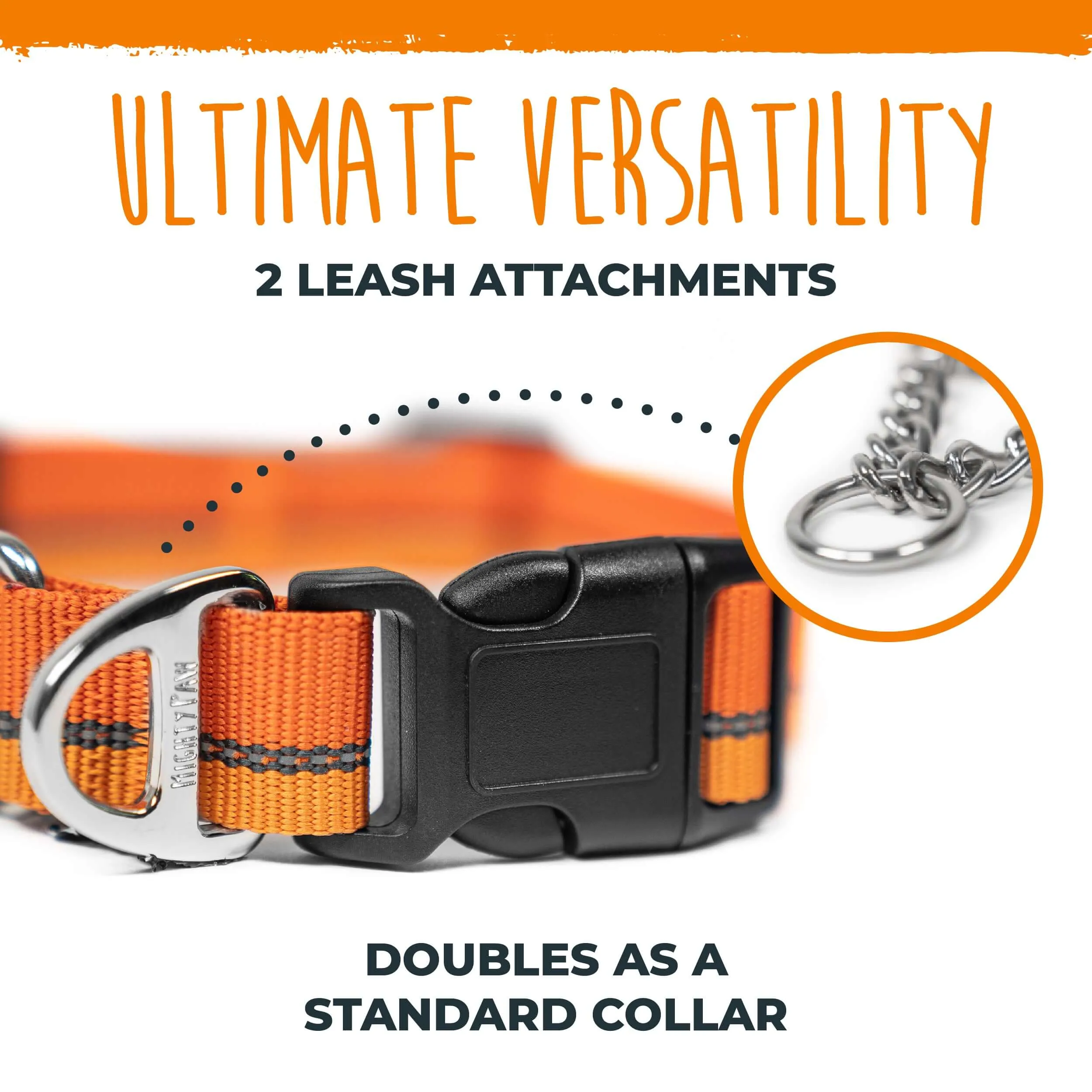 Martingale Dog Training Collar 2.0 - Gentle Yet Effective