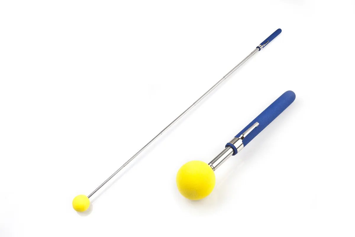 Mary Ray Target Training Sticks