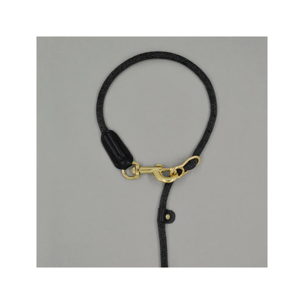 Metro Collar & Slip Leash