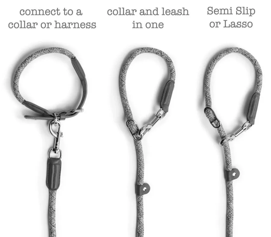 Metro Collar & Slip Leash