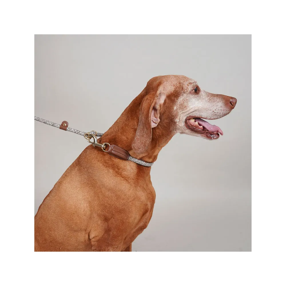 Metro Hands Free Shoulder Dog Leash