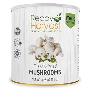 Mushroooms Freeze Dried