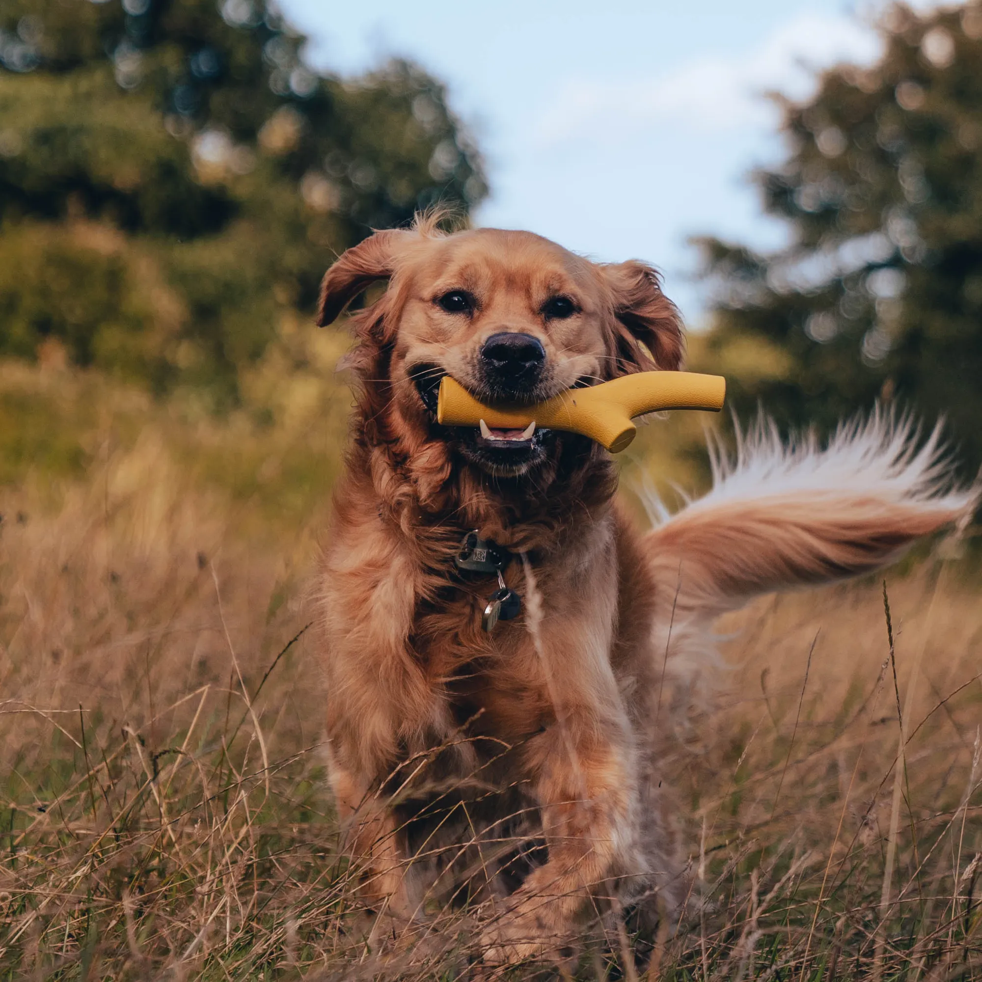 Natural Rubber Super Stick