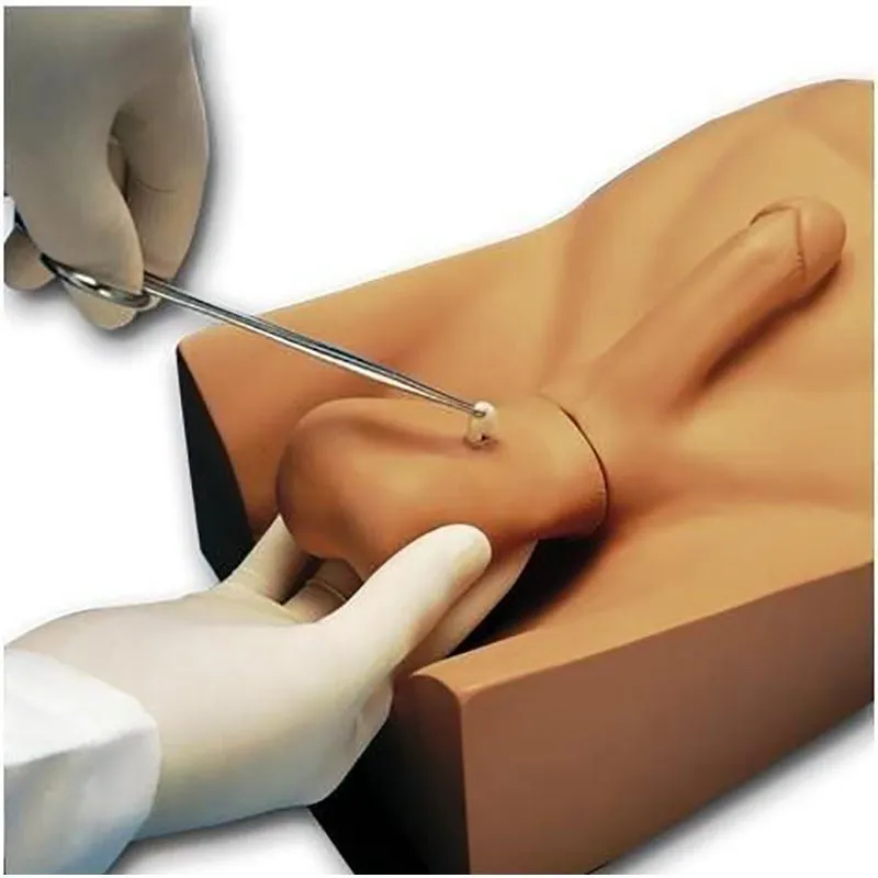 No Scalpel Vasectomy (NSV) Simulator, Dark