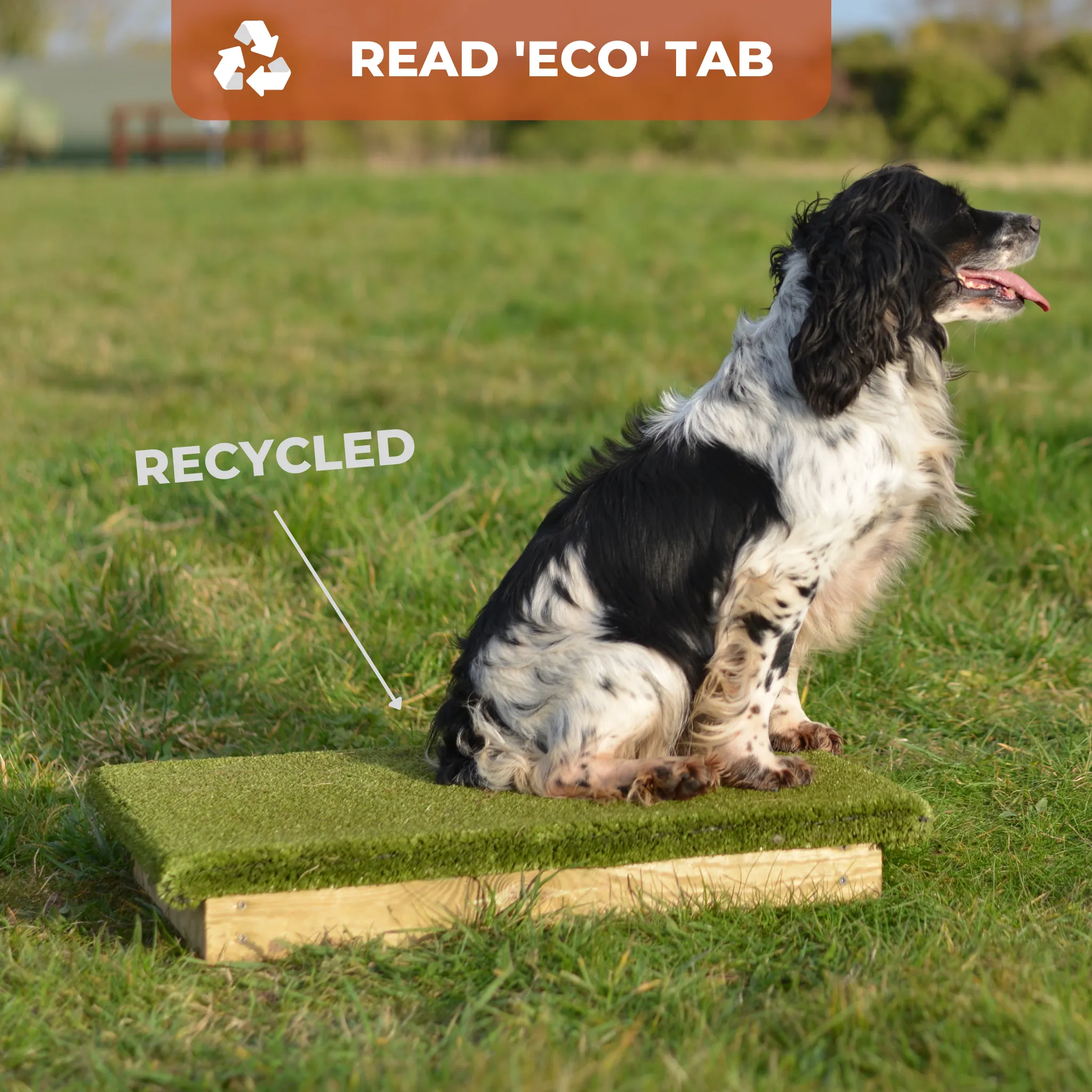 Place Board Dog Training Platform