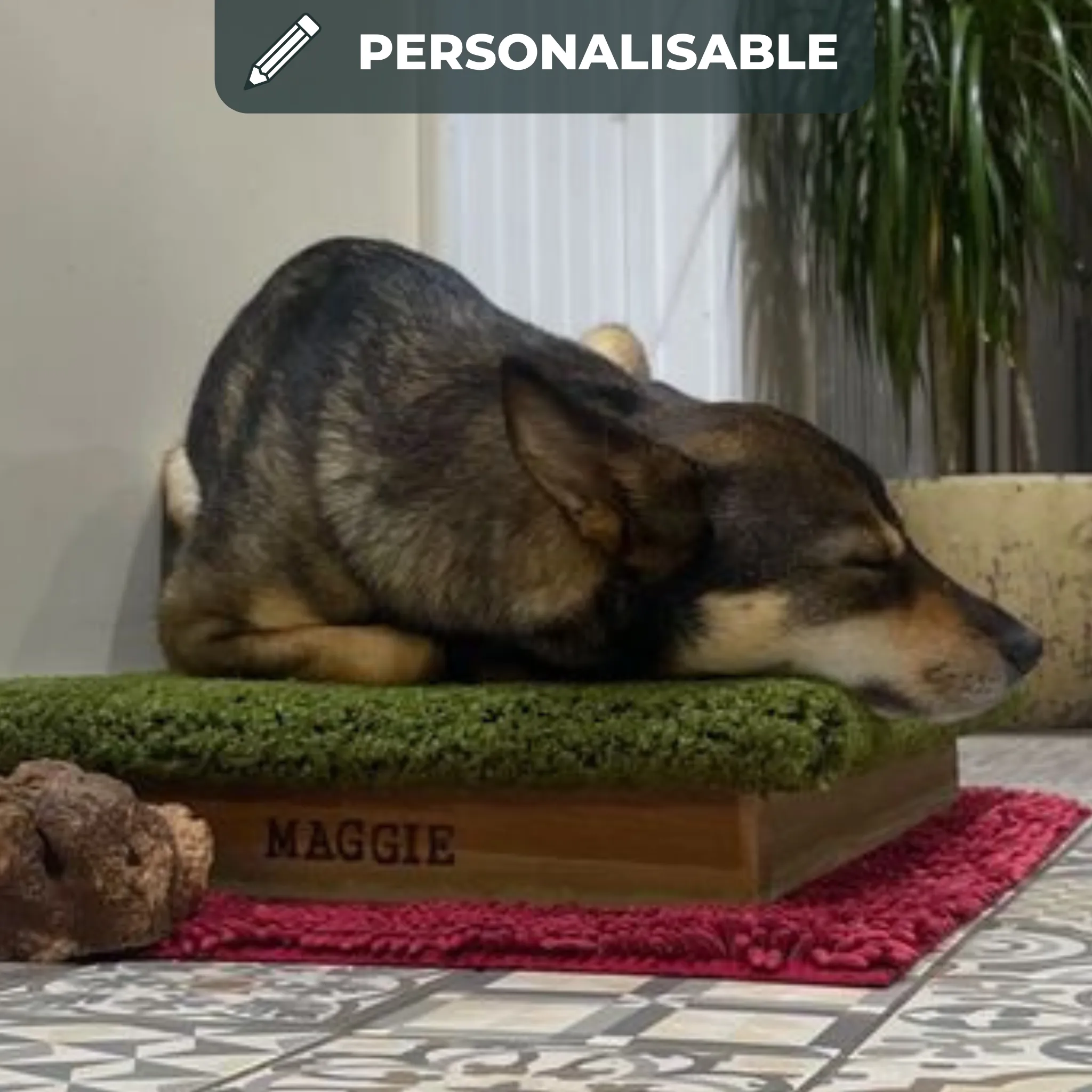 Place Board Dog Training Platform