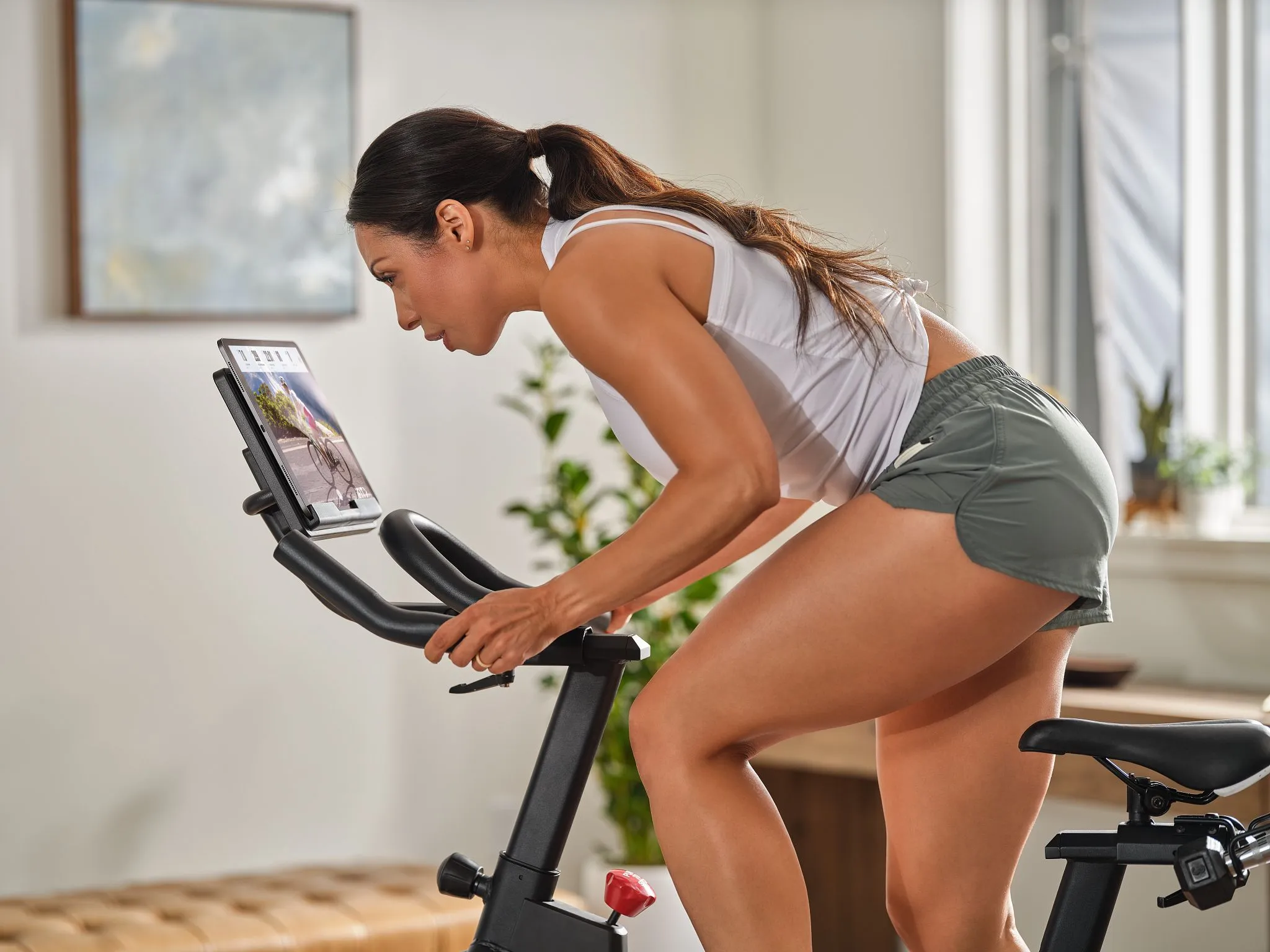 Pro-Form® Sport CX Exercise Bike